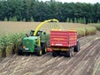 Mais%20hakselen%20overijssel%20jansen%20heeten